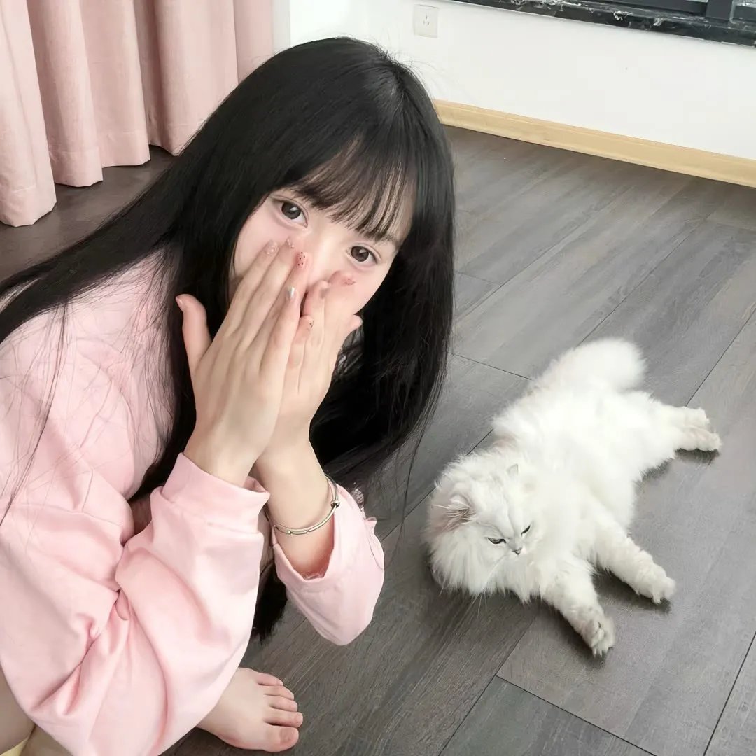 圣剑使的禁咒咏唱